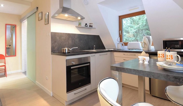 Homerez - Studio Ribeauville, Mountain View