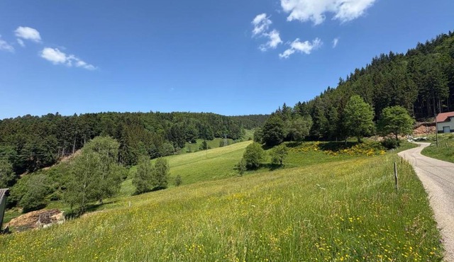House on the edge of the forest in La Claquette