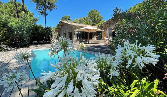 House/Villa - Lège Cap-Ferret