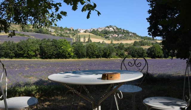 La Bergerie en Provence