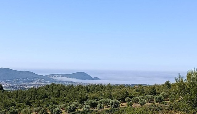 La casa D Emma