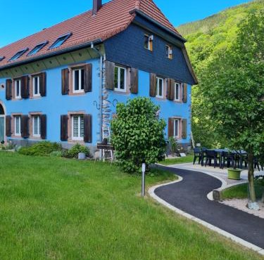 la maison bleue