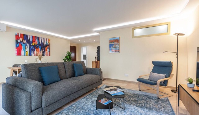 Large 1 bedroom apartment - Tramway - Terrace - Nice renovation.