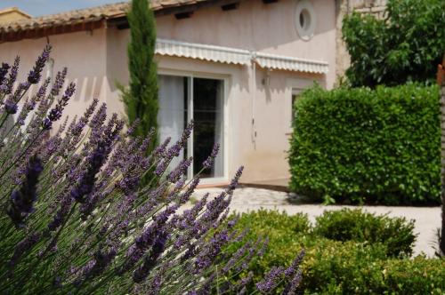 Le gite de lOlivier en Provence