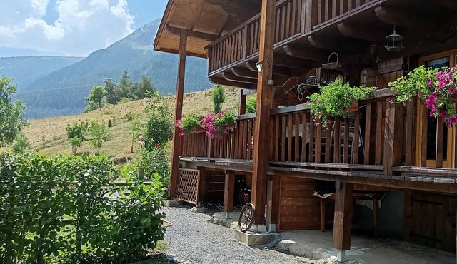 "LE MELEZE" apartment in a chalet