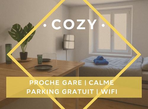Le Nid Cozy à 2 Pas de la Gare St-Dié - Wifi - Calme