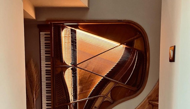 Le Piano dans la Vigne