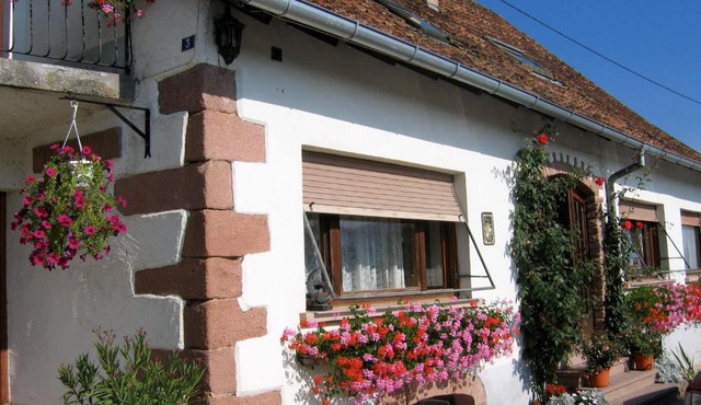 Les Floralies lilas Alsace