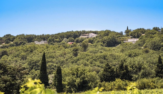 Les Hauts d'Avignon - Guesthouse (Rochefort du Gard) Room 4
