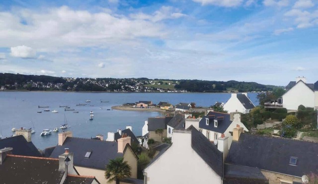 Les Hortensias - Maison vue mer Dourduff en mer