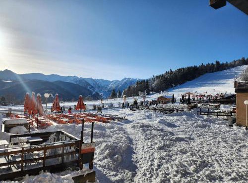 Les Isards Pied des pistes
