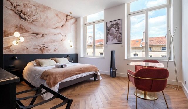 Les perchoirs de Stanislas 2 - logement de standing hyper centre
