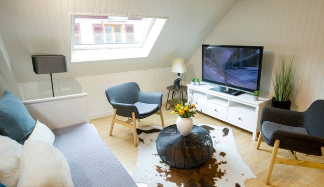 Les Tournesols *, 2-bedroom 2-bathroom apartment in the historic heart of Kaysersberg