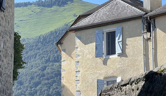 Maison en Vallée Dossau, à 30 min de Gourette, Idéal Familles