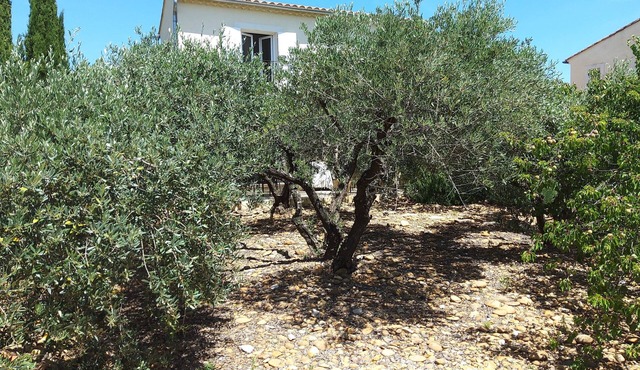 Marie's house