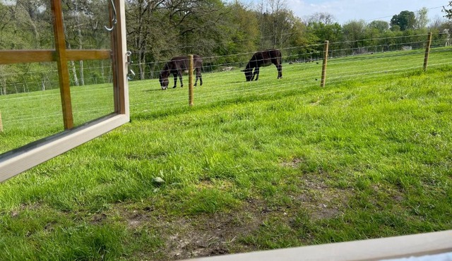 Nuit insolite en tonneau nature et animaux petit déjeuner inclus