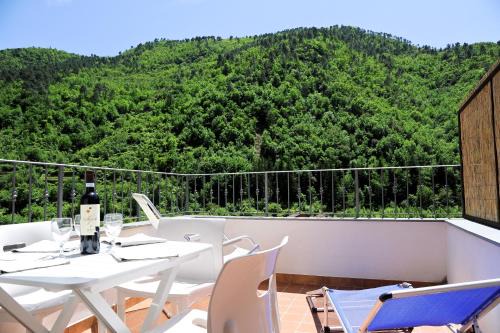 Panoramic Apartment with Balcony and Terrace