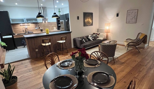 Pau, right in the heart of downtown: Luxury 2-bedroom apartment; Pets allowed
