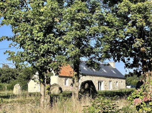 Petite Maison avec Menhirs et Moutons Ouessant