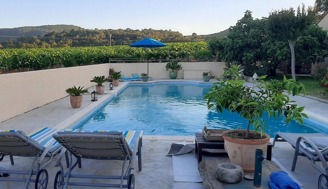Quiet Mazet in the heart of the vines. Swimming pool.