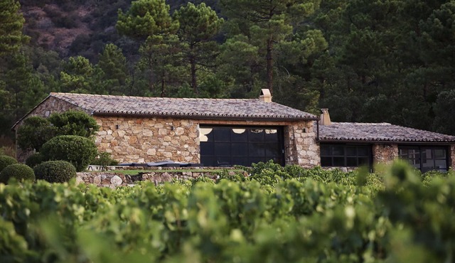 Shepherd House in the Vines
