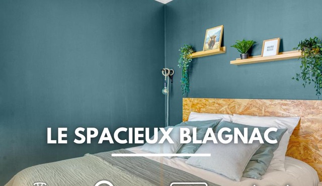 Spacious Apartment Blagnac Parking-Tram-Airport