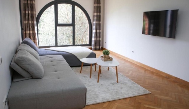 Spacious apartment of 90 m2 in Toulouse