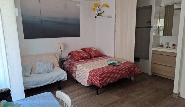 SPACIOUS, COMFORTABLE, SELF-CONTAINED STUDIO APARTMENT WITH BATHROOM AND TOILET, NICE PRIVATE TERRACE