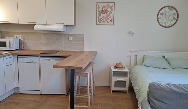 Studio near the historic center