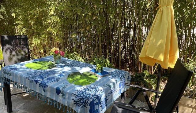 T2 30 M2 GROUND HOUSE WITH INDEPENDENT ENTRANCE TO THE GARDEN PRADET JOUISSA