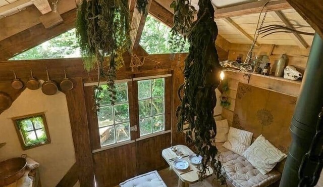 The Druid entrusts his cabin to you