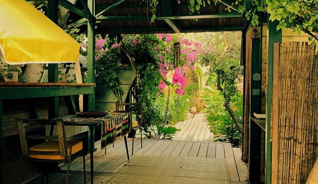 The OASIS of the BASKET