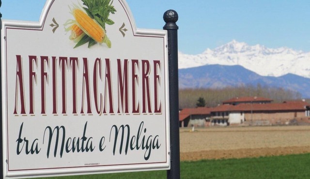 Tra Menta e Meliga