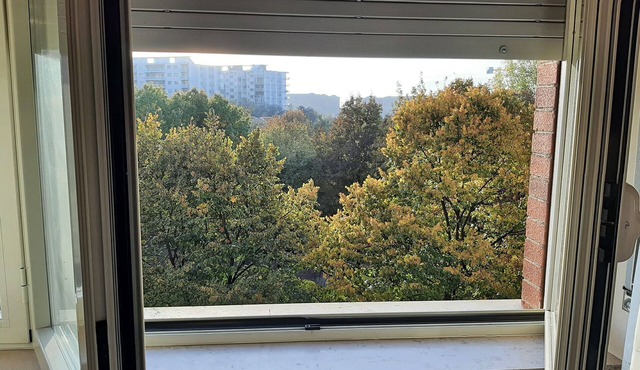 TWO-ROOM APARTMENT WITH PARK VIEW