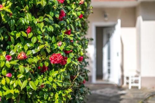 Villa Sofia casa con giardino e spiaggia condivisa