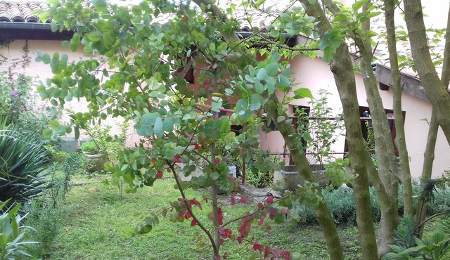 Vrbo Property