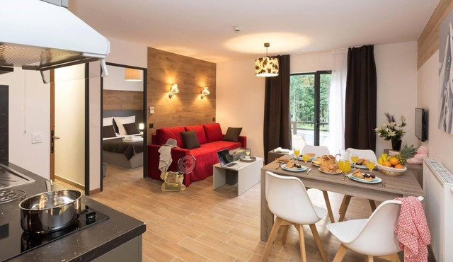 Wifi, fitness, swimming pool, sauna, hammam, parking, tv, 40m², Chamonix