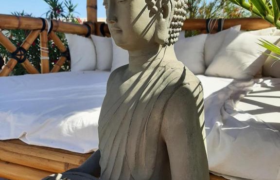 Zen et nature