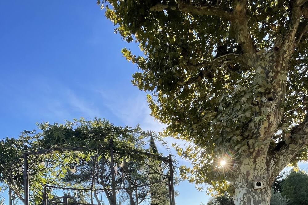 Photo of Outdoor in Cabannes