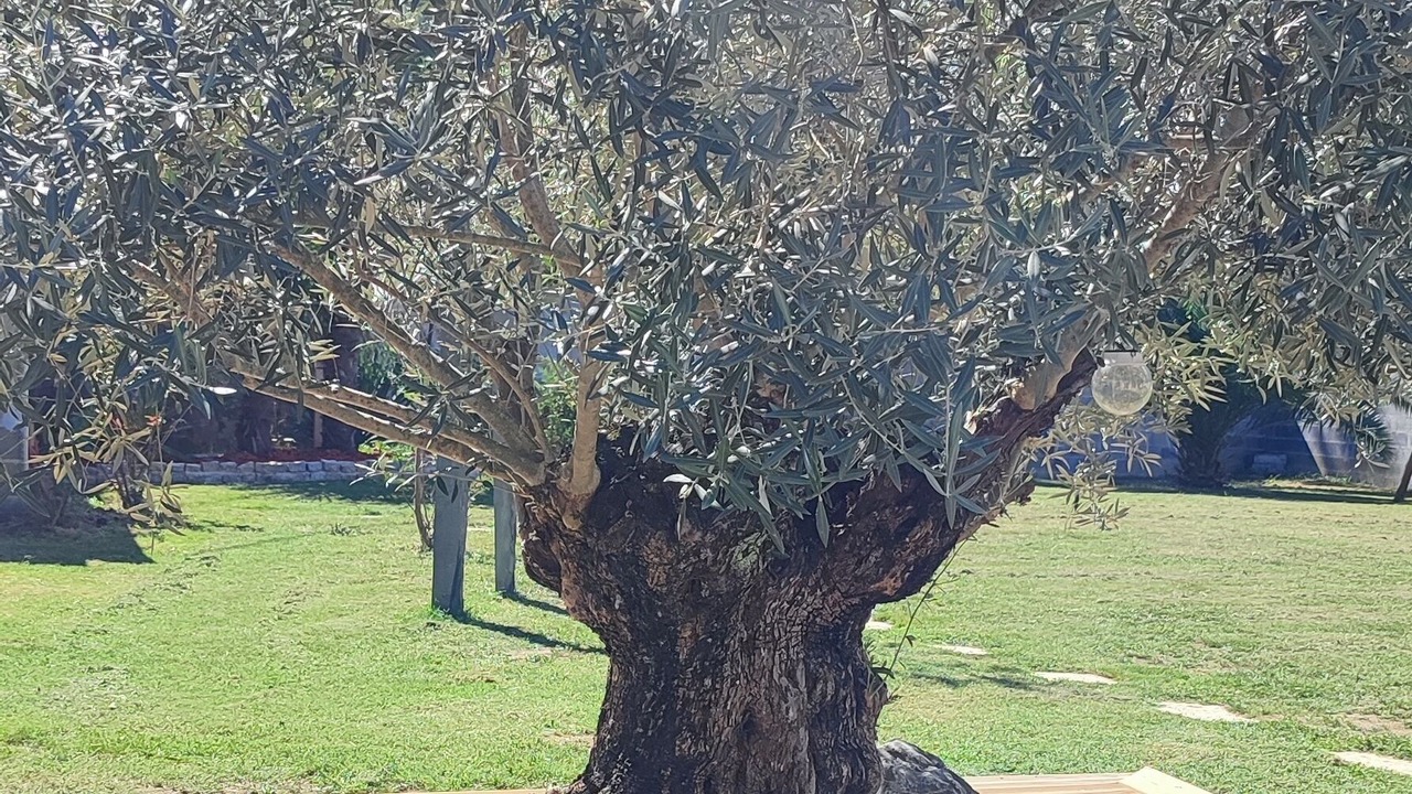 Photo of Outdoor in Semeac