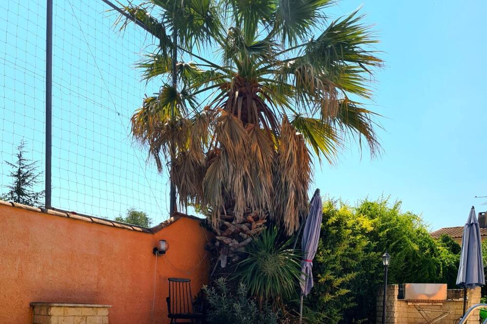 Photo of Outdoor in Marguerittes