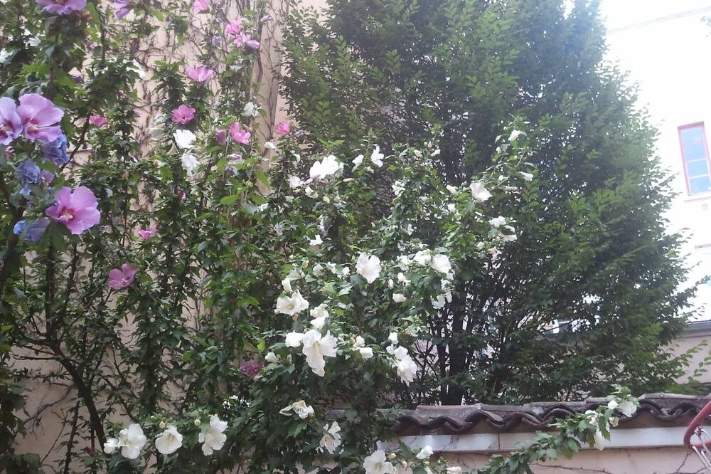 Photo of Outdoor in La Croix Rousse