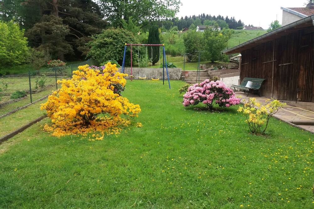 Photo of Outdoor in Senones
