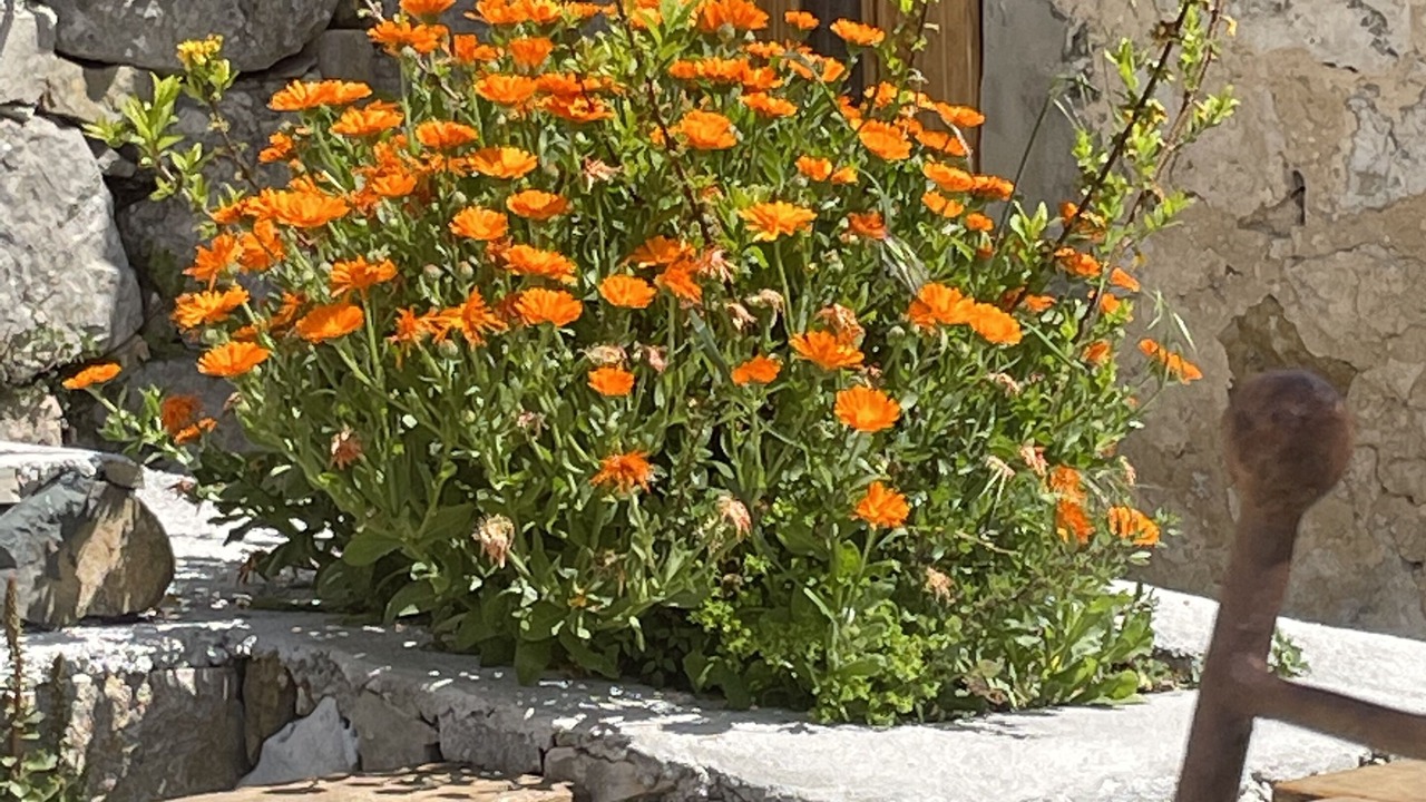 Photo of Outdoor in Touet-de-l'Escarene