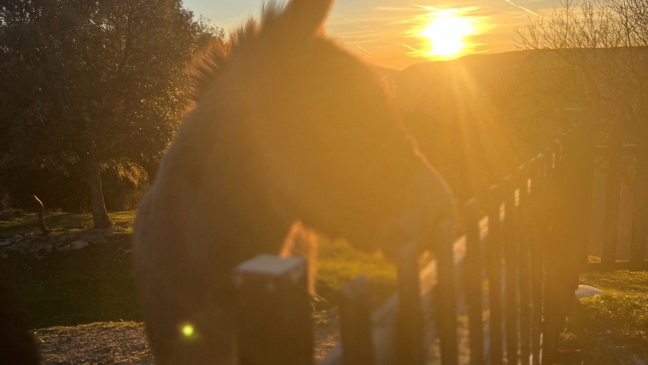 Photo of Outdoor in Touet-de-l'Escarene