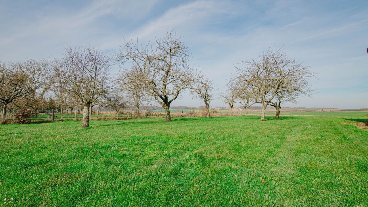 Photo of Outdoor in Magny-Fouchard