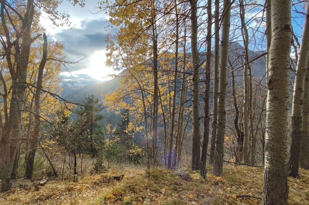 Photo of Outdoor in Meolans-Revel