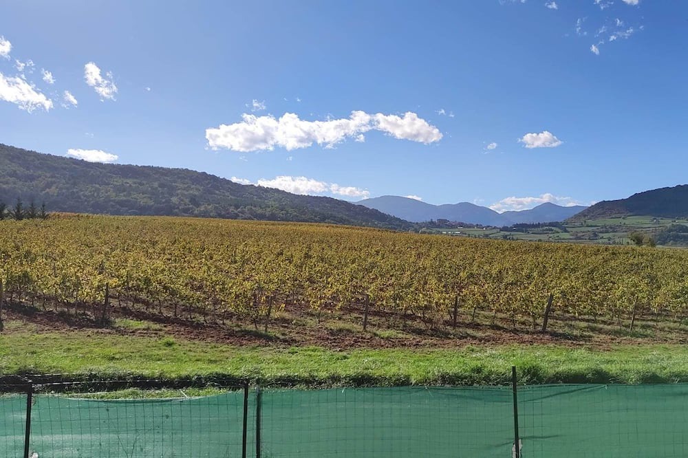 Photo of Outdoor in Granes