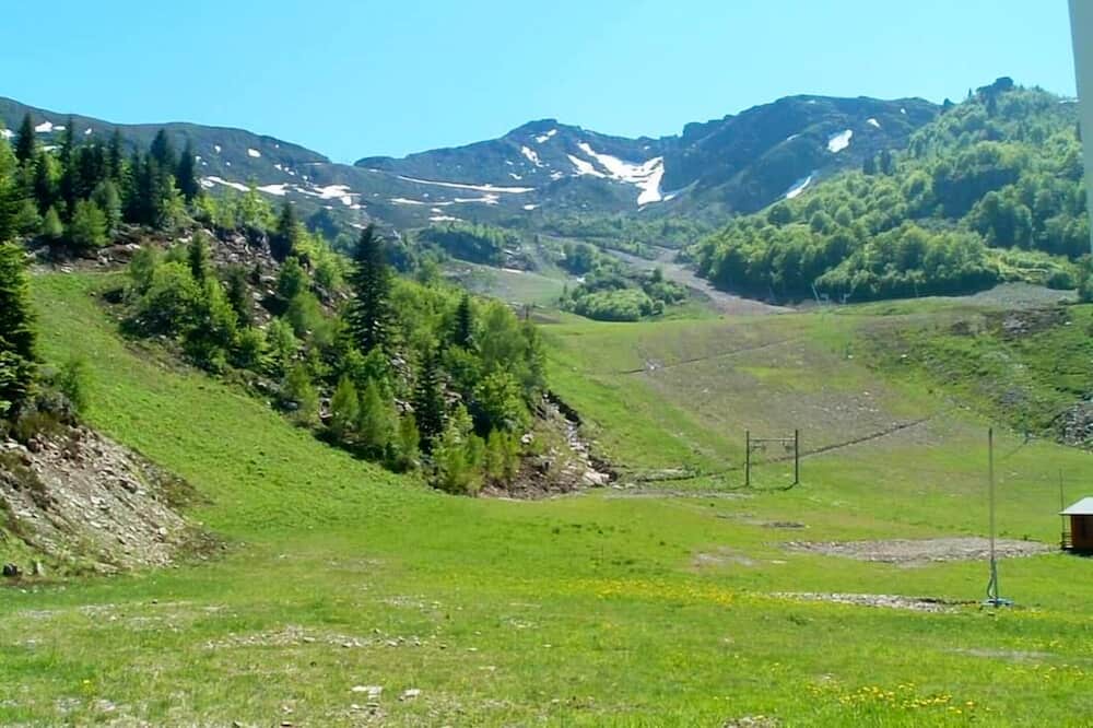 Photo of Others in Montferrier
