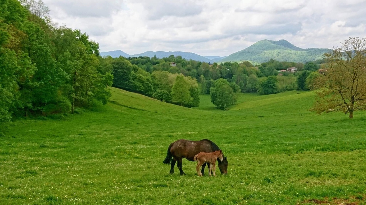 Photo of Outdoor in Estadens